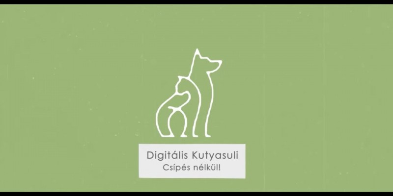 Digitális Kutyasuli I. rész - Latte pacsit ad